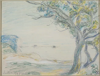 Bomen aan zee