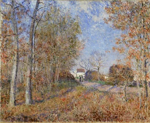 Weg aan de bosrand