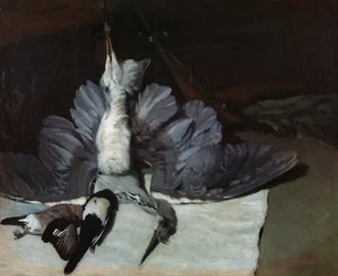 Stilleven: reiger met uitgespreide vleugels