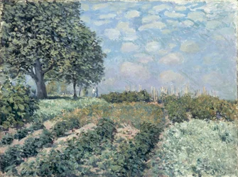 De Moestuinen