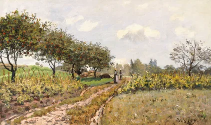 De Weg op het Platteland