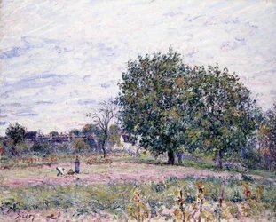 Walnootbomen, Effect van de Ondergaande Zon - Eerste Dag van Oktober, 1882