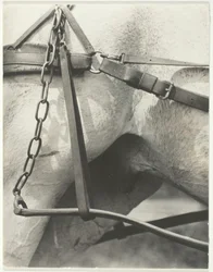 Equivalent, Spiritueel Amerika, 1923