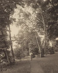Hedwigs pad, Oaklawn, Lake George
