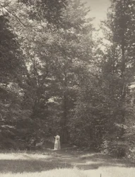 ‘Hedwigsweg’ II, Lake George