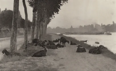 Aan de Seine - nabij Parijs