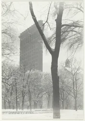 Het Flatiron, 1903, gedrukt 1920-1939