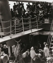 De Steerage