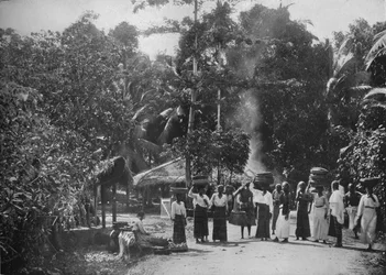 Een jungle dorp, c1890