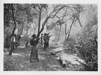 Olifantenkraaling in Ceylon richting de omheining, c1890, 1910