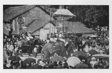 Kandy Perahera. - Een Processie van Olifanten uitgevoerd door de Kandyan Chiefs, ca. 1890, 1910