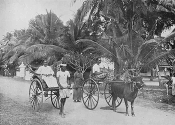 Riksja en racekar, ca. 1890, 1910