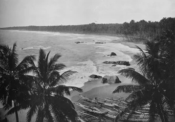 Uitzicht vanaf Mount Lavinia, met kokospalmen langs de kust, ca. 1890-1910