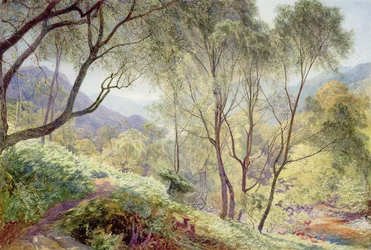 Ullswater vanuit Gowbarrow Park, 1864