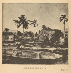 Caribische hut en boten