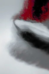 Mission, uit de serie Missionary, 2019 (foto)