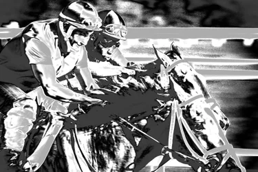 Saratogoa Trials, 2015 (handgeschilderde foto)