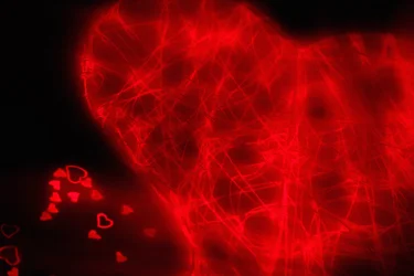 Tangled Heart, uit de serie Hearts, 2016 (foto)