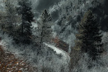 De weg van Milaan, 2018 (handgeschilderde foto)