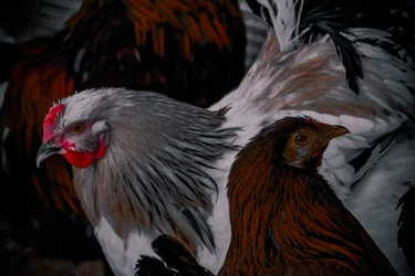 This Way, That Way, 2016 (foto)