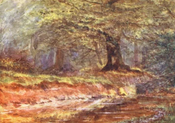 New Forest: In de koninginnetoren, midzomer (kleurenlitho)