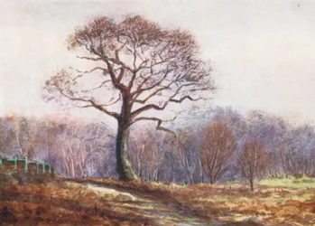 New Forest: Uitzicht op Butts Lawn, kerstavond (kleurenlitho)