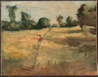 Het veld