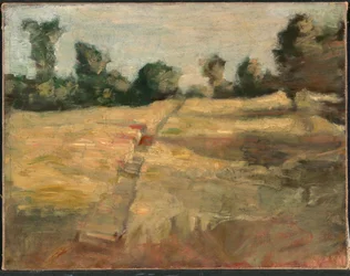 Het Veld