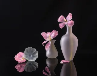 Verblekende roze tulpen