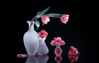 Stilleven met roze tulpen