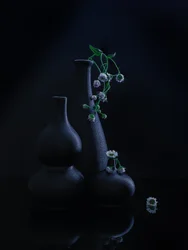 Rustige vazen en bloemen