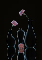 Elegant bloemenstilleven