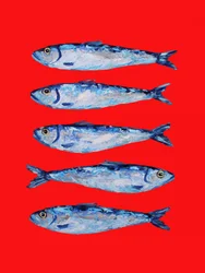 Krachtige blauwe sardines