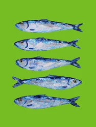 Verse blauwe sardines