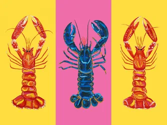 Kreeft en langoustines Pop Art 2