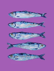 Levendig blauwe sardines