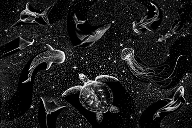 Kosmische zeedieren