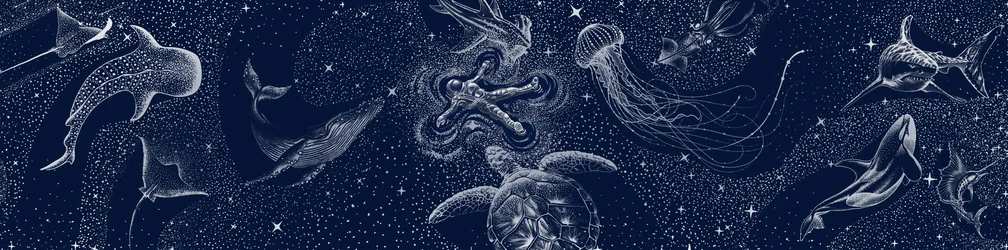 Kosmische Oceaan-droom