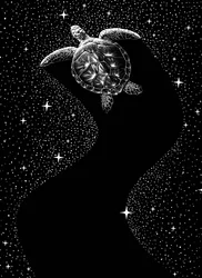 Kosmische zeeschildpad