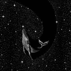 Kosmische Walvis