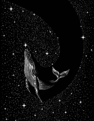 De majestueuze ruimtelijke walvis
