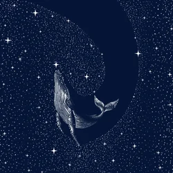De walvis in de sterrennacht