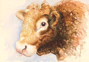 Adam de Stier, 2016, aquarel