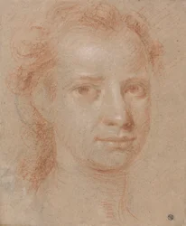 Hoofd van een Jonge Vrouw of Man