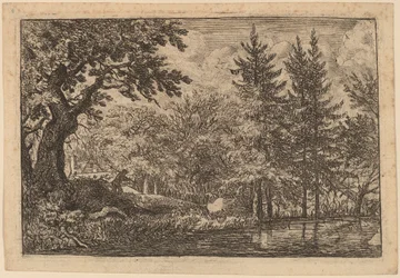 Sparren aan het Water