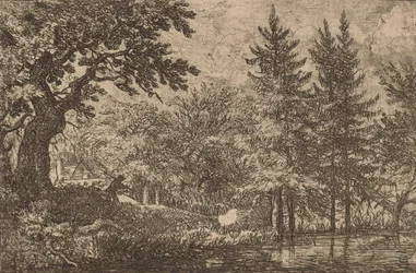 Sparren bij het water, waarschijnlijk ca. 1645-1656