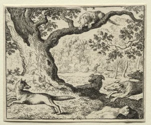 Reinaert de Vos: De Ontrouwe Kat