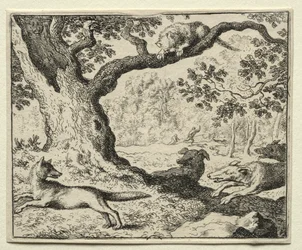 Reinaert de Vos: De Ontrouwe Kat