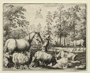 Reinaert de Vos: Het Jaloerse Paard
