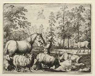 Reinaert de Vos: Het Jaloerse Paard